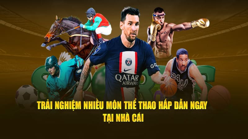 +2 bộ môn thể thao làm mưa làm gió tại nhà cái king88