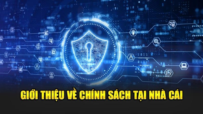 Giới thiệu chính sách bảo mật tại king88